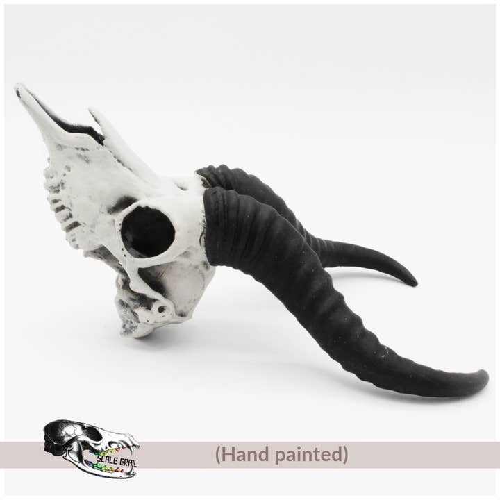 The Scale Grail - Wholesale Decorative Figurine - Springbok Skull - 4mm -1:2 Scale skull miniature replica oddities by The Scale Grail2