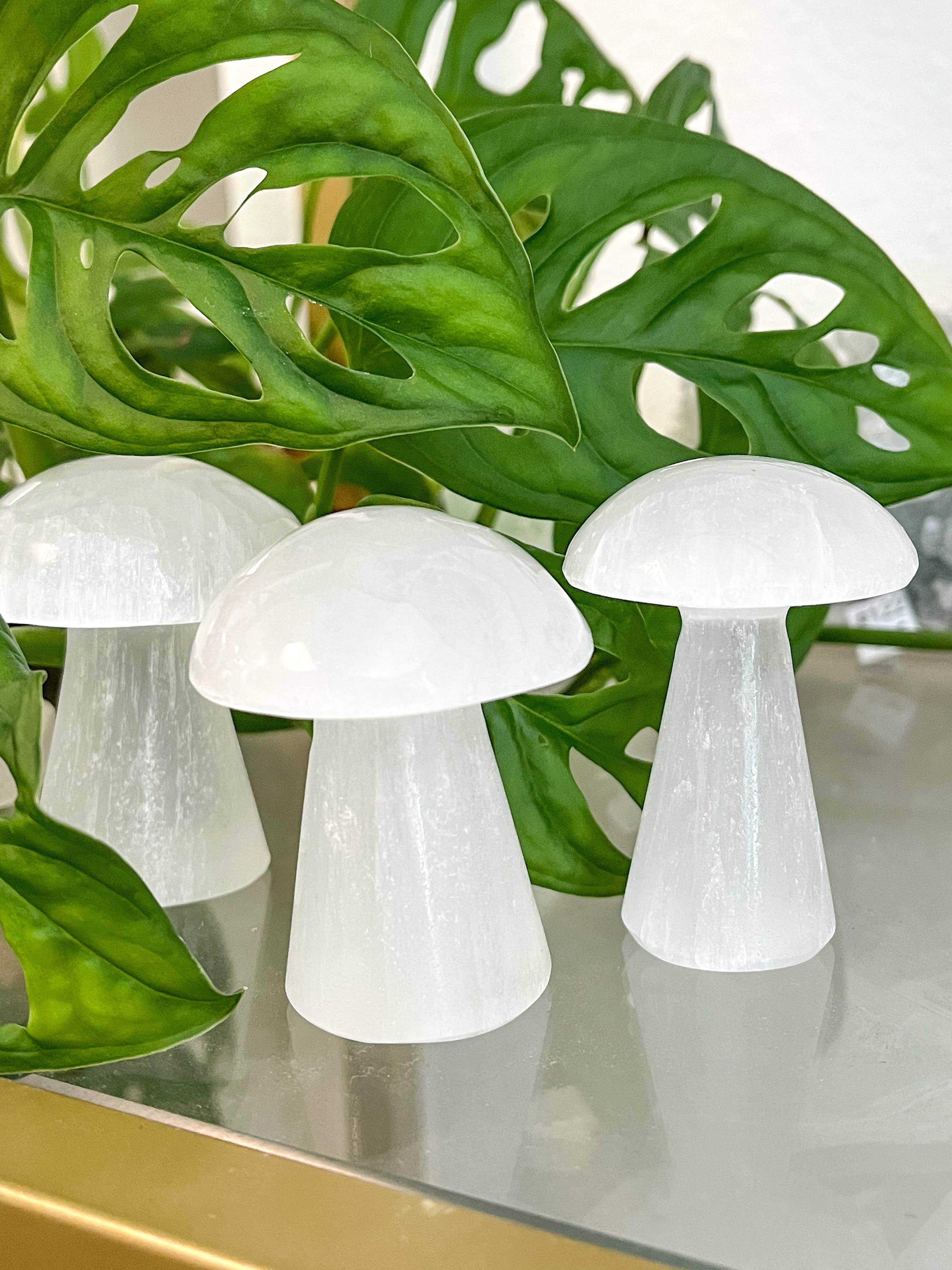 Fractalista Designs - Wholesale Spiritual Stone/Crystal - $3 White Selenite Crystal Mushroom Decor Mother's Day Gift2