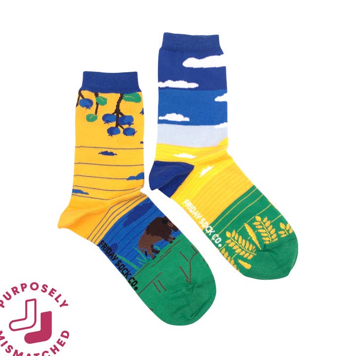 Women's Prairies Canadian Landscape Socks for wholesale by Friday Sock Co.