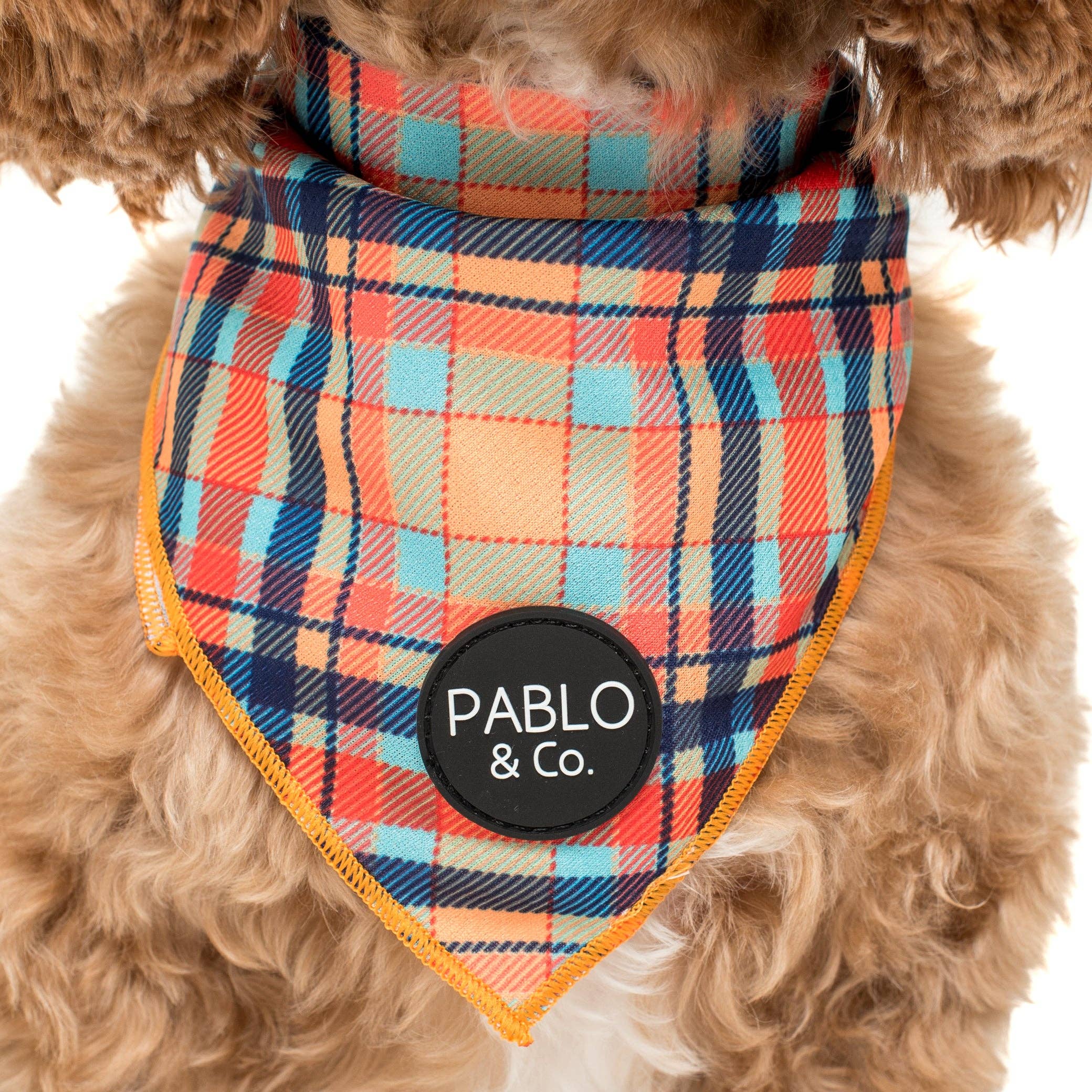 Pablo & Co. Boutique – Bandana - Cão por atacado – Tartan - Bandana Cão1