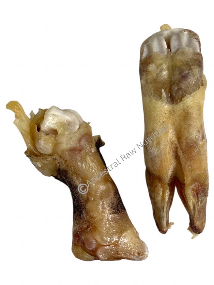 Gedehydrateerde Lamsvoet - 1STK voor wholesale door Ancestral Raw Nutrition