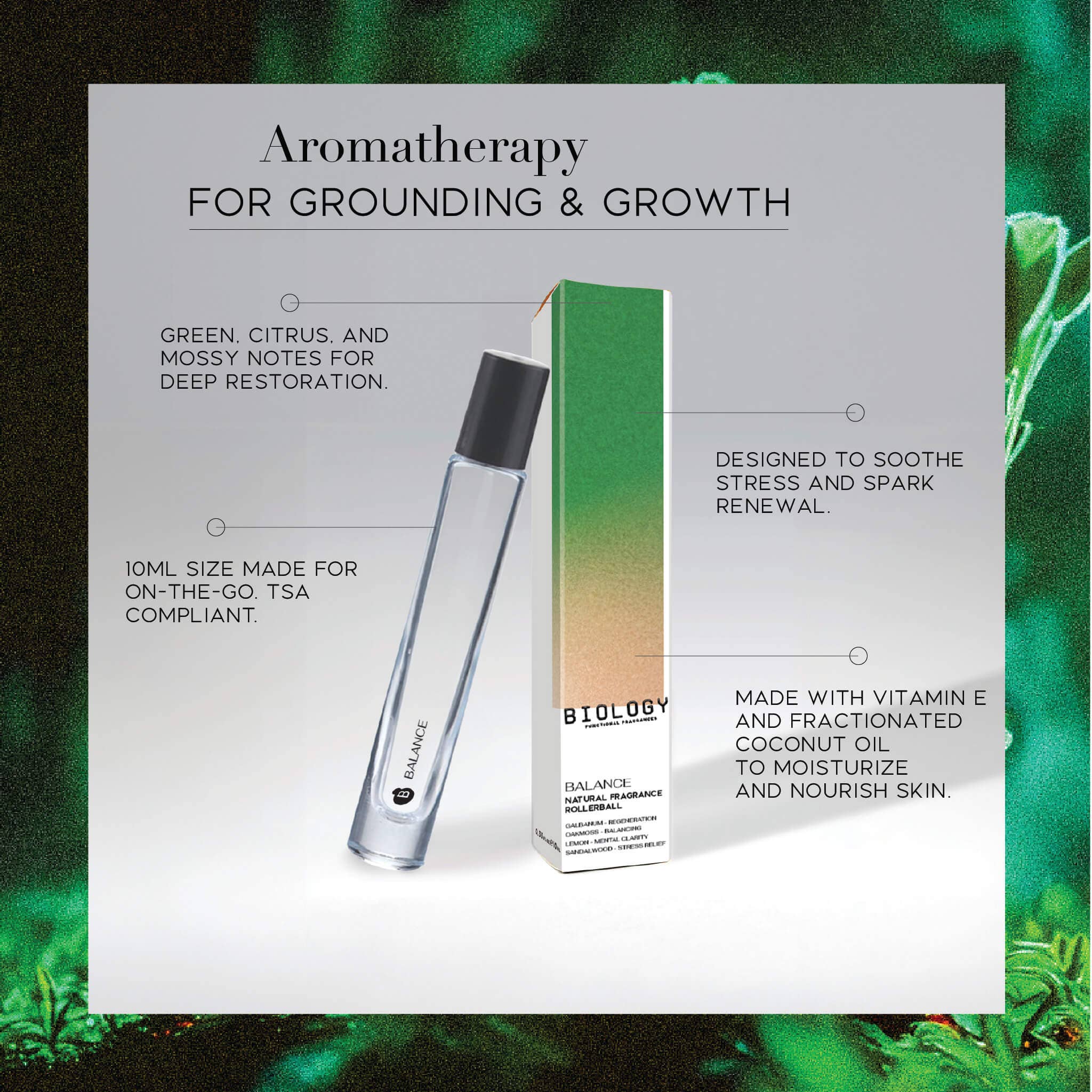 Biology Functional Fragrances - Wholesale Roll-On Fragrance - BALANCE – Galbanum Oakmoss Lemon | Natural Fragrance Oil2