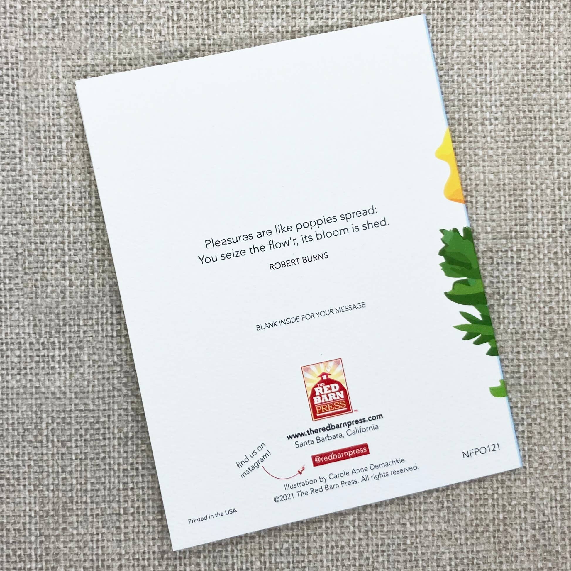 The Red Barn Press - Wholesale Everyday Greeting Card - Floral Notecard | Modern California Poppy Illustration1