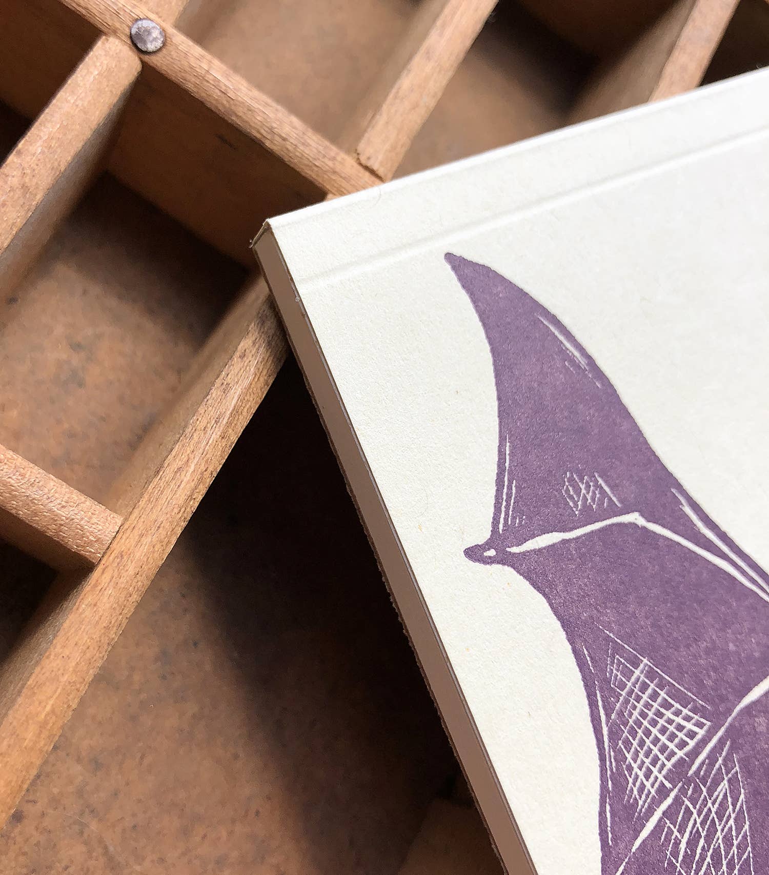 Blackbird Letterpress - Wholesale Notepad - brown bat jotter notepad5