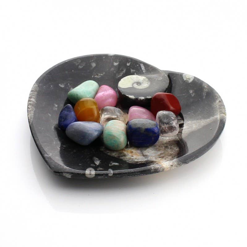 UniArt - Vente Objets de décoration - Assiettes décoratives avec ammonites et orthoceras authentiques10