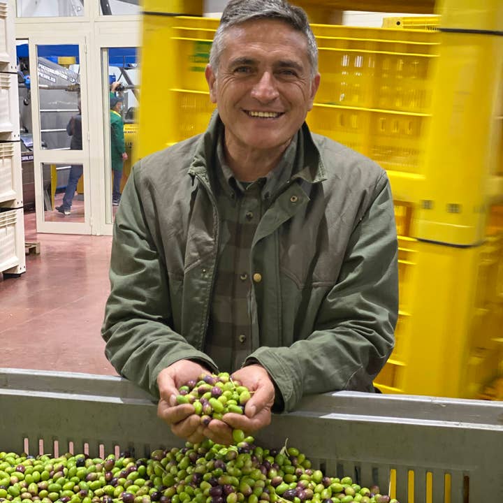 Boniviri BCorp - Wholesale Olive Oil - 5 L Can Organic Extra Virgin Olive Oil 100% Italian3