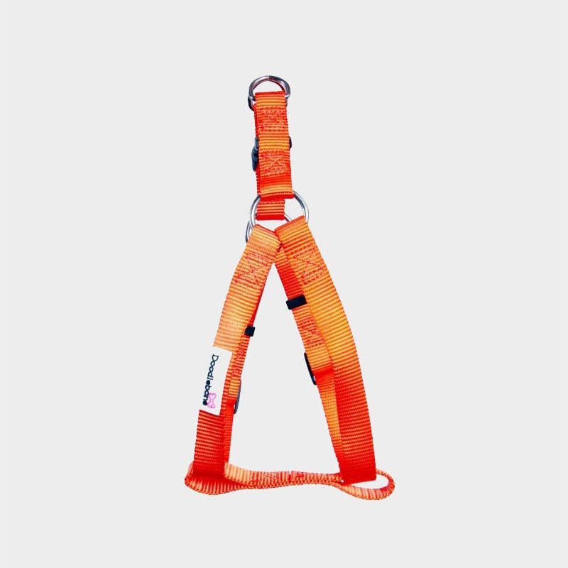 4cats Heimtierbedarf GmbH – Arnês – Cão por atacado – Arnês para Cães Doodlebone® Bold - 10 cores, 5 tamanhos7