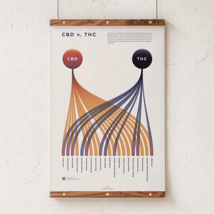 Goldleaf - Wholesale Art Print - CBD v. THC Comparison Chart Print3