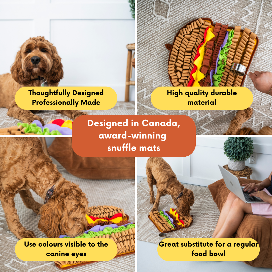 PawzNDogz - Wholesale Pet toy – Cat/dog - Juicy Hamburger by LuvMyFido5