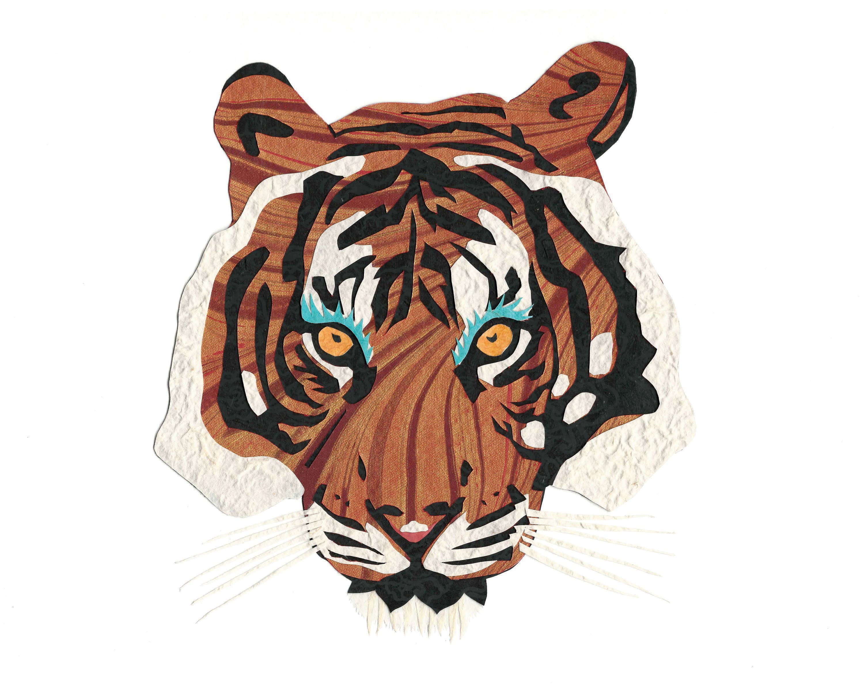 Whimsy Spot - Wholesale Art Print - Sunda Tiger Art Print1