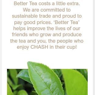 Pepermuntblad (500 g) voor wholesale door CHASH The Fine Tea Co