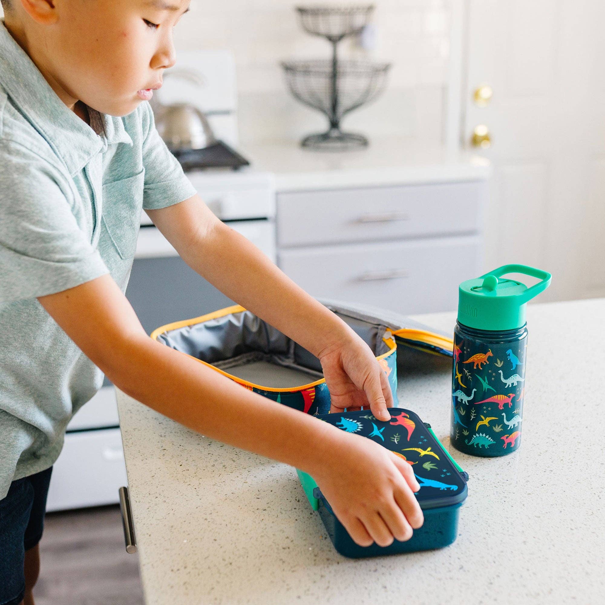 Wildkin - Wholesale Lunch Bag/Box - Kids - Jurassic Dinosaurs Reusable Food Container Bento Box1