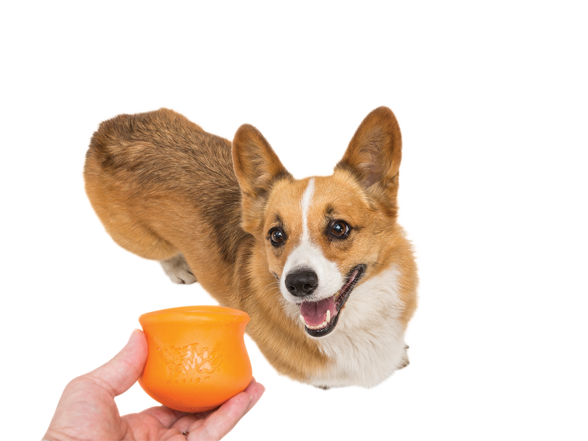 West Paw - Wholesale Pet Chew Toy - Dog - Toppl® Puzzle Treat-Dispensing Slow Feeder Dog Toy4