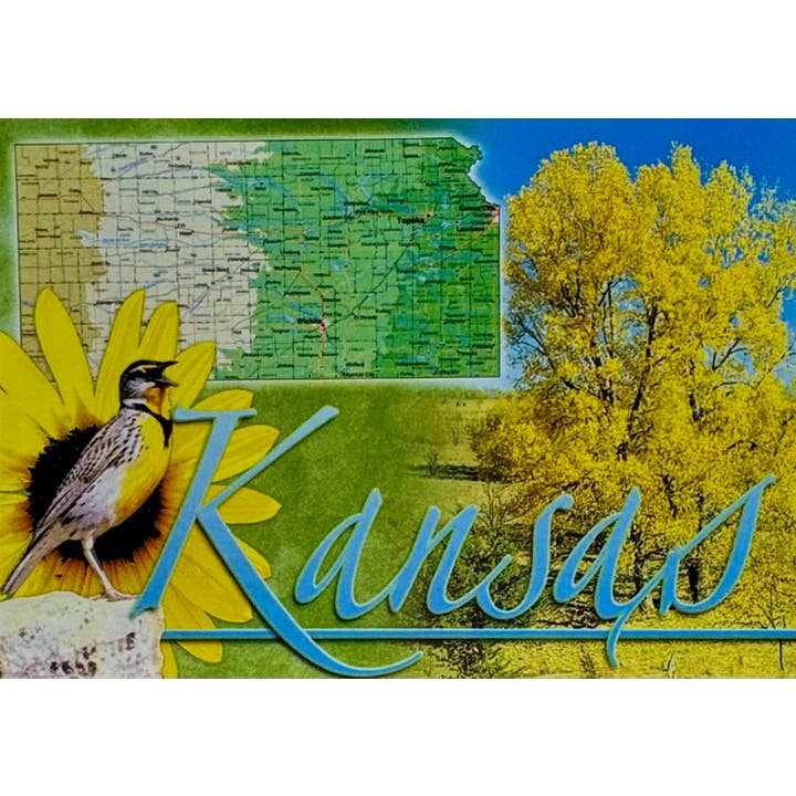 K15-Kansas-Karte mit State Bird/Flaggen-Postkarte für den Großhandel von Avery Postcards and Gifts