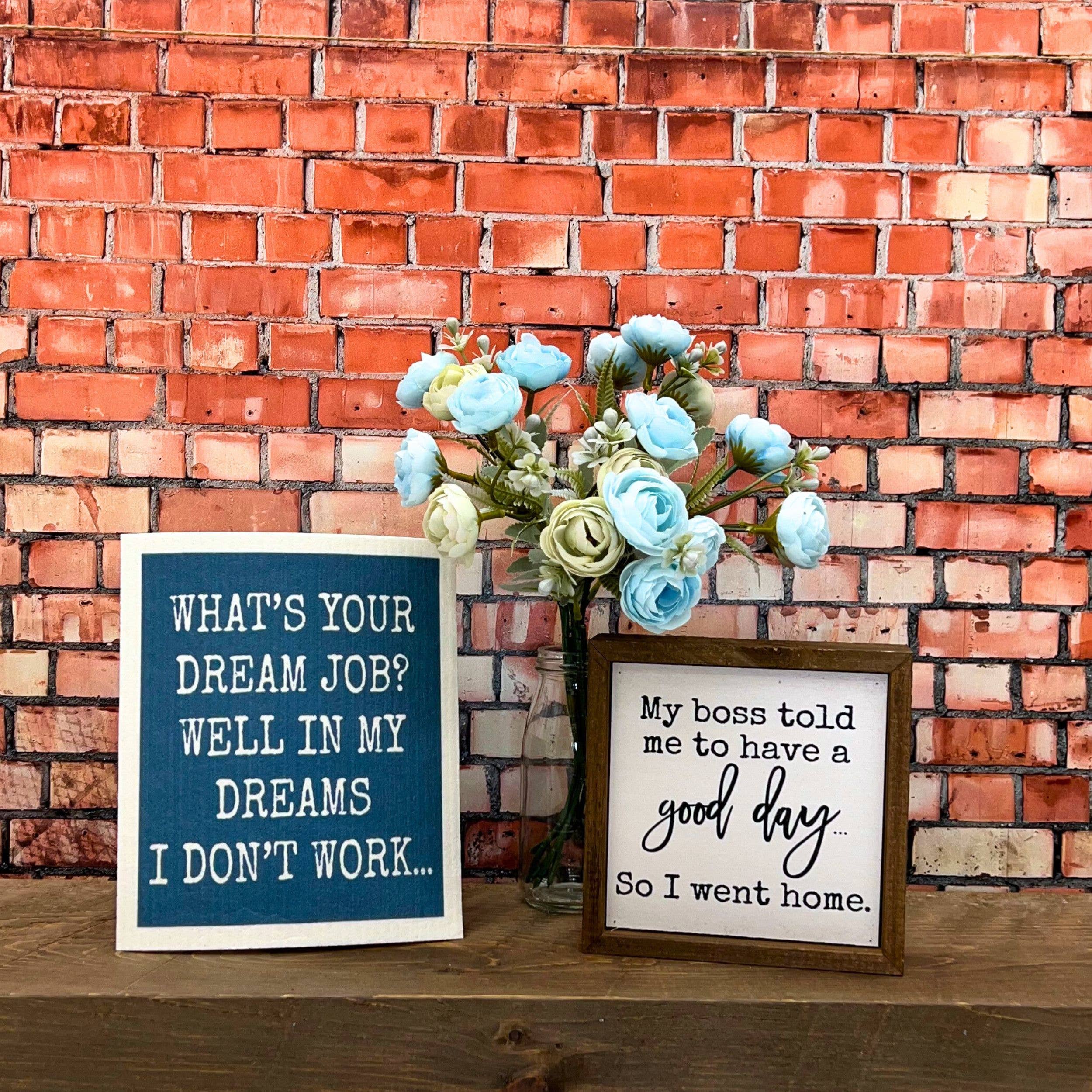 Driftless Studios - Wholesale Dishcloth - In My Dreams I don't Work Funny Swedish Dishcloths - Kitchen2