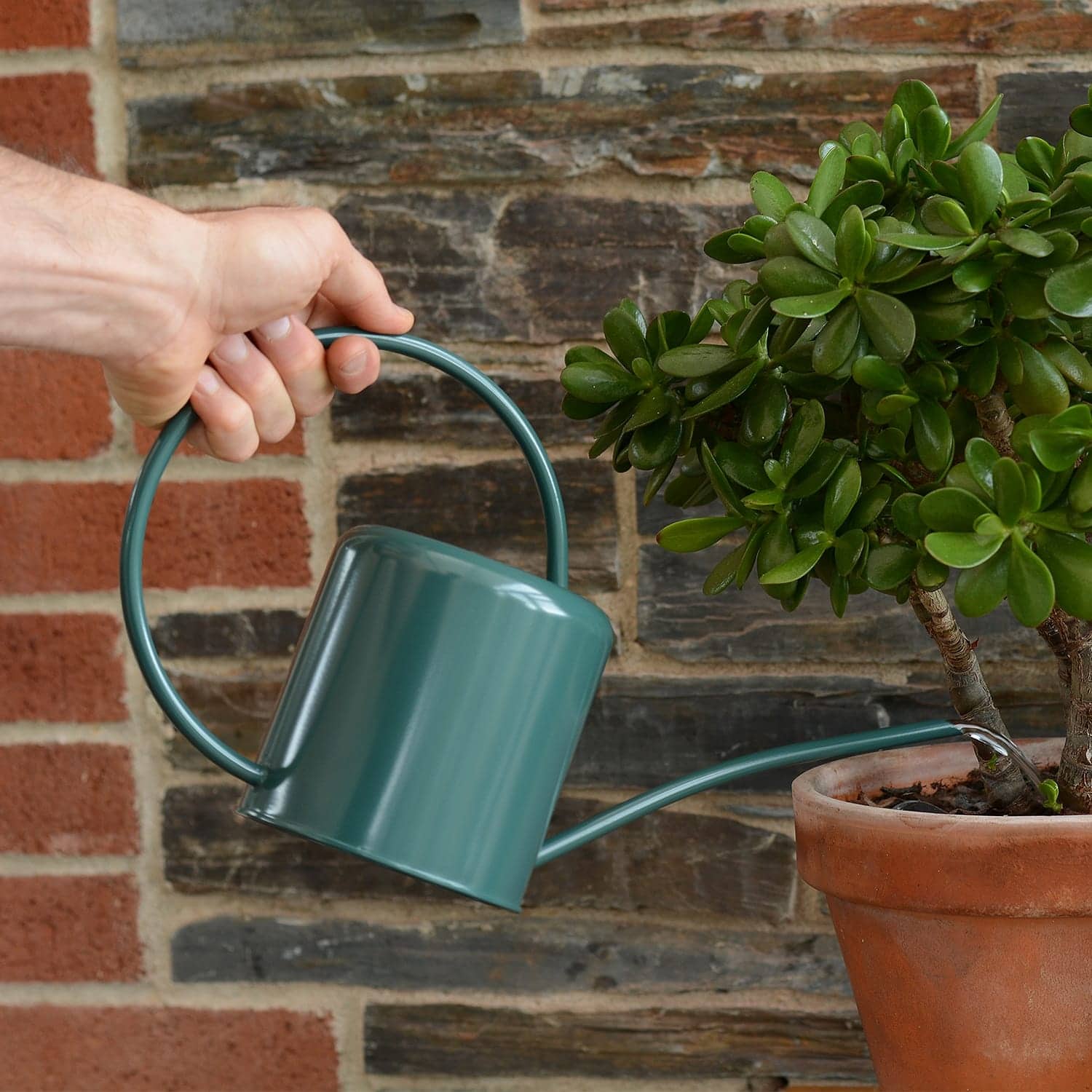 Wholesale Gifts Tomorrow - Wholesale Watering Can - Dark Green 1.4L Indoor Watering Can Small Metal Coated Steel2
