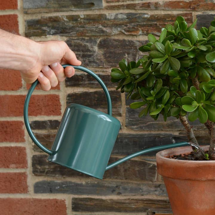 Wholesale Gifts Tomorrow - Wholesale Watering Can - Dark Green 1.4L Indoor Watering Can Small Metal Coated Steel2
