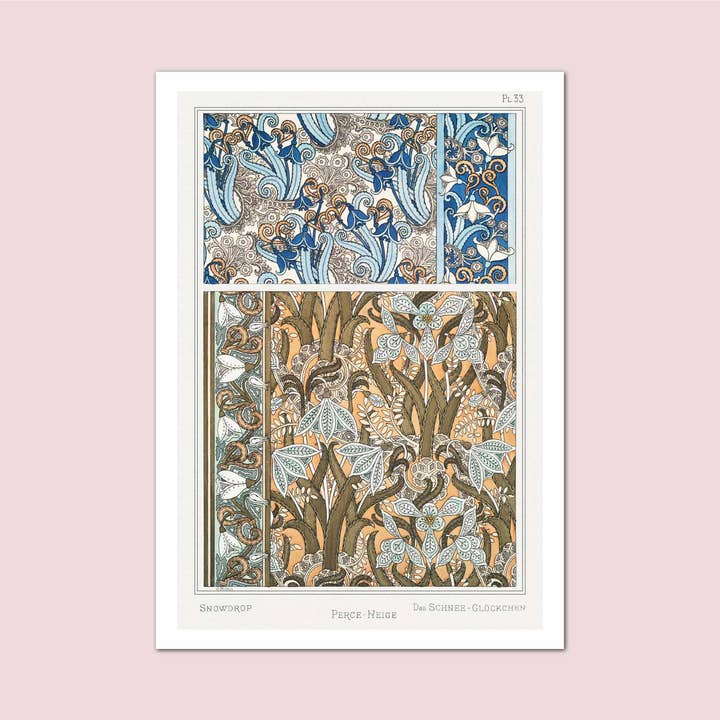 Snowdrop Pattern Verneuil Vintage Botanical Print for wholesale by Holland Road Prints