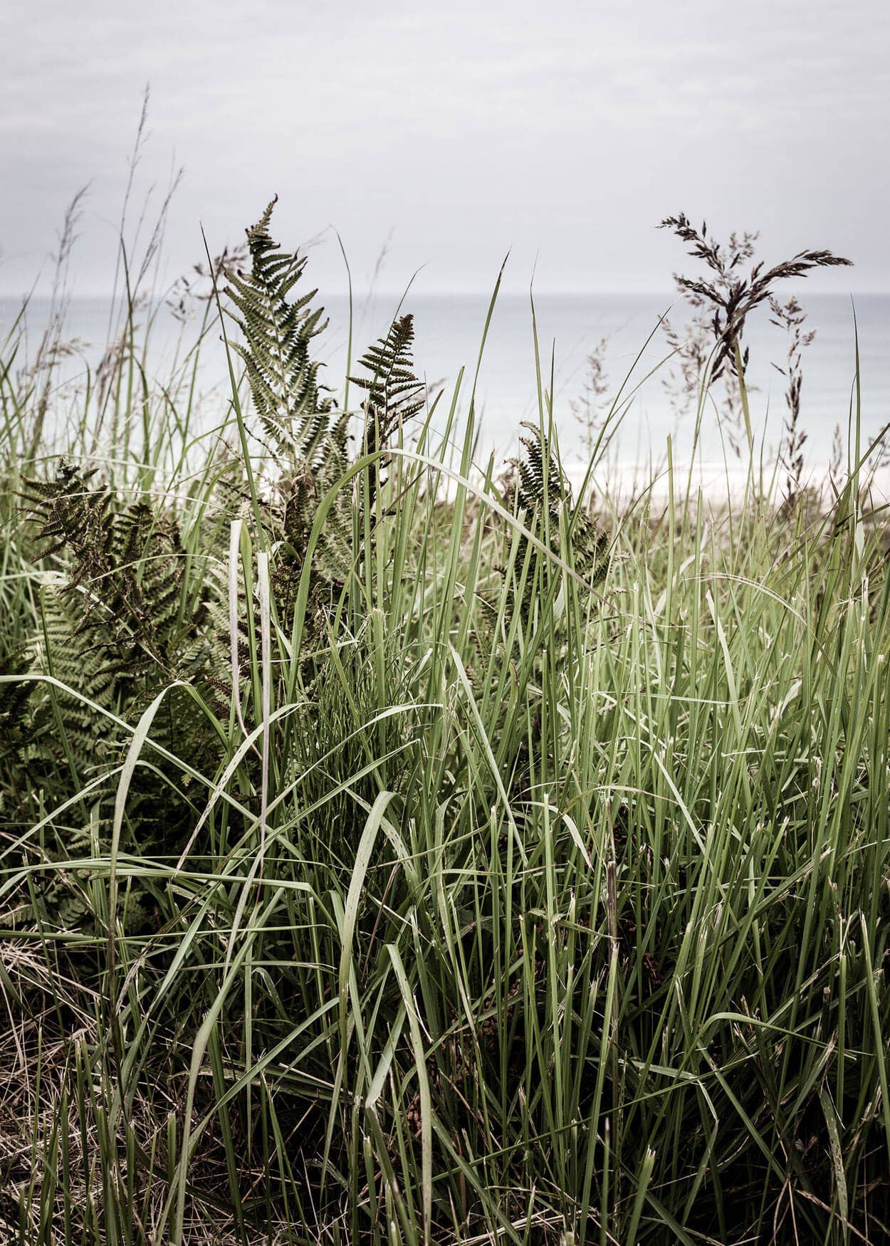 Foto Factory - Vente Affiche d'art - Couperet à porcs1