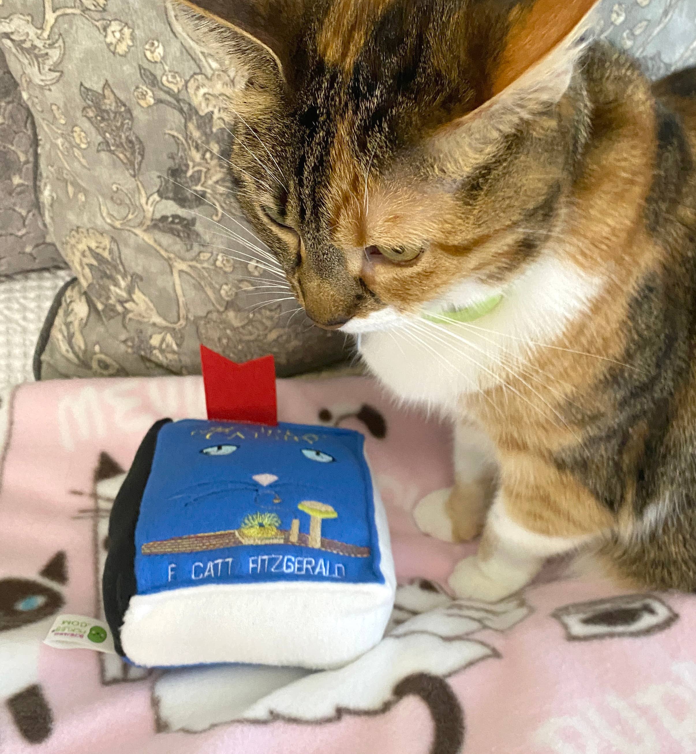 Screaming Pickles – Engroshandel Legetøjssæt - Kat – Håndlavet plyslegetøj - Plys bog til katte "Den Store Catsby"13