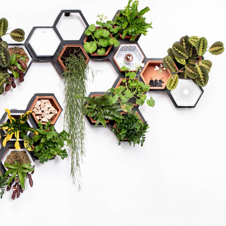 Horticus – wholesale Väggkruka – Horticus levande vägg växt ram3
