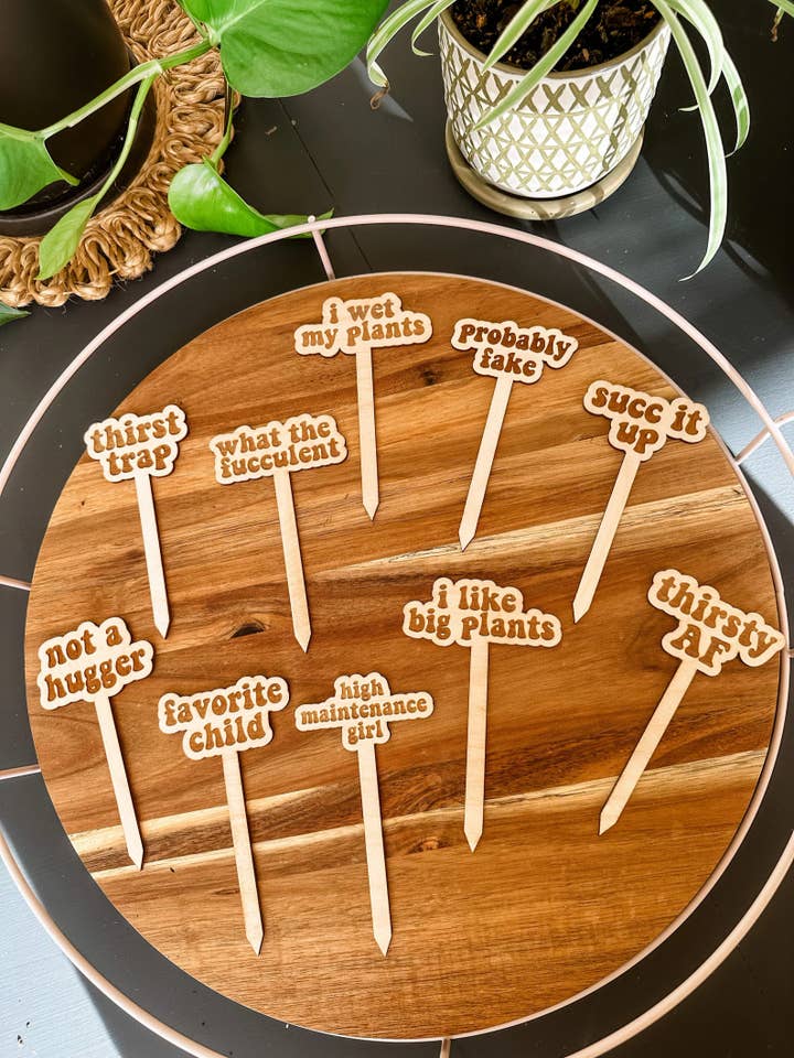 Funny Retro Plant Stakes for wholesale by Hazel + Bloom Co