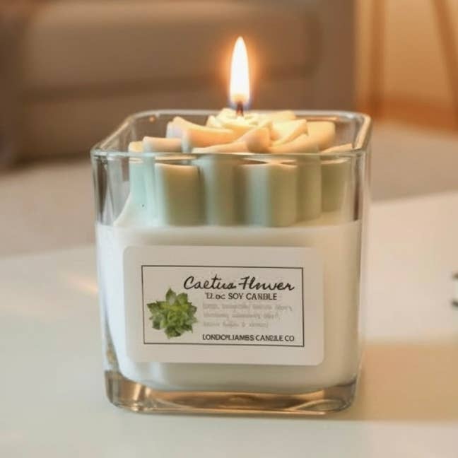 Sukkulent plante soja stearinlys for engroshandel hos London James Candle Co