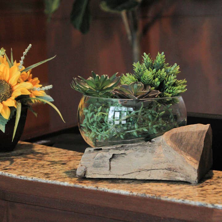 Zeckos - Wholesale Decorative plate/dish/bowl - Wide Mouth Molten Glass on Teak Driftwood Decorative Bowl4