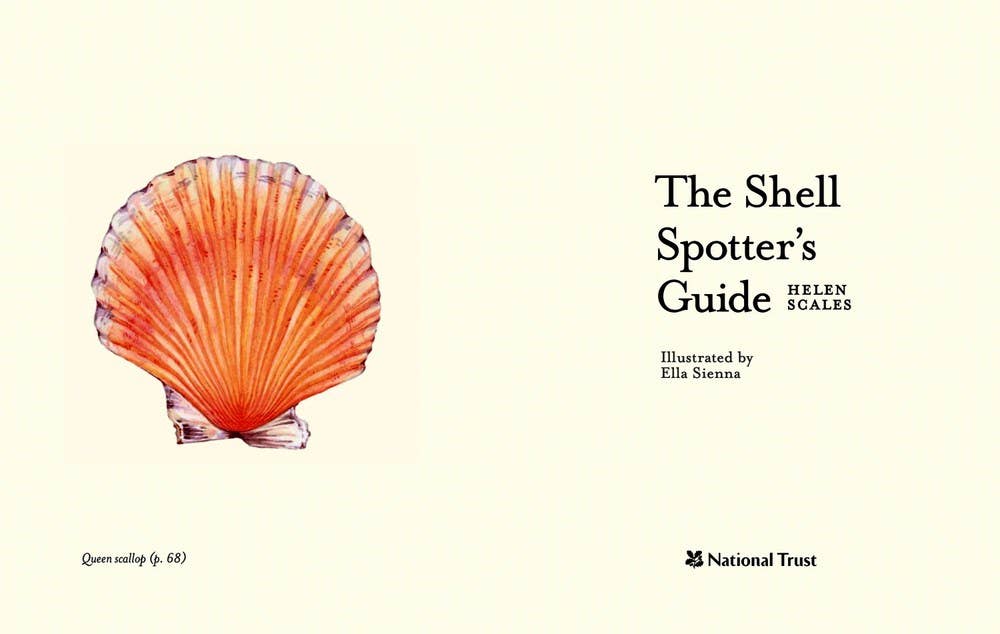 Independent Publishers Group - Wholesale Nature & Outdoors - Shell-spotter’s Guide1