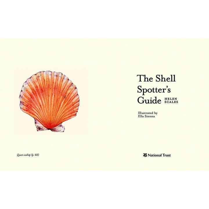 Independent Publishers Group - Wholesale Nature & Outdoors - Shell-spotter’s Guide1