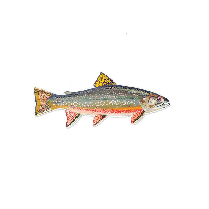 Brook Trout for wholesale by Wavy Baby Design