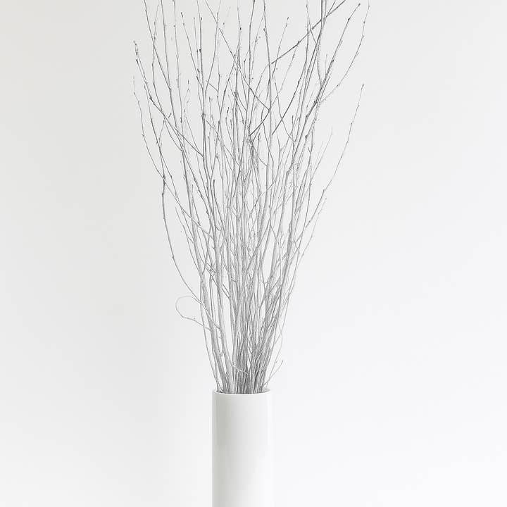Metallic Silver Painted 4 Foot Birch Branches - 10pc Bundle for wholesale by GS Foliage