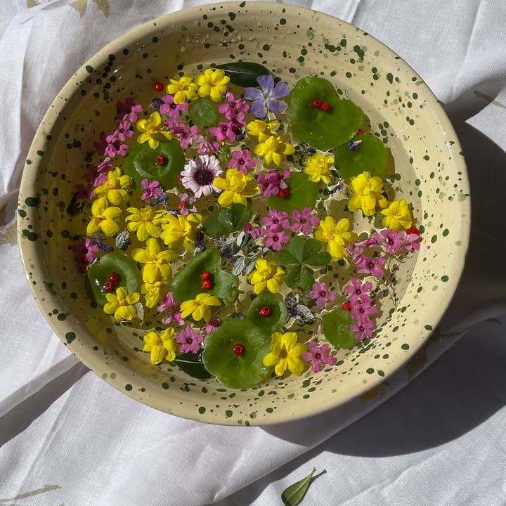 IVO ANGEL - Wholesale Decorative plate/dish/bowl - The Catinella1