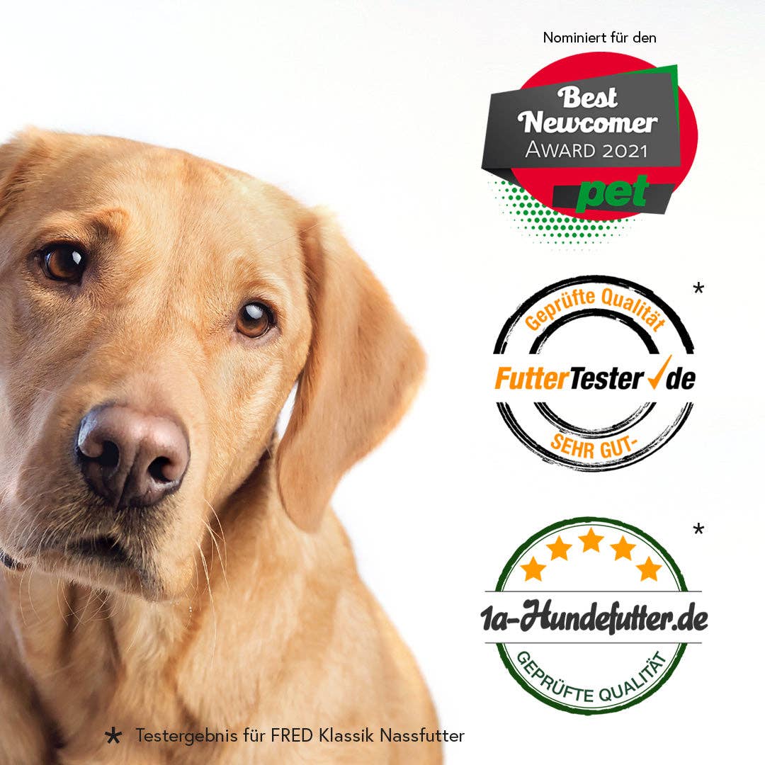 FRED & FELIA – wholesale Husdjursfoder – Hund – FRED kalkon med potatis5