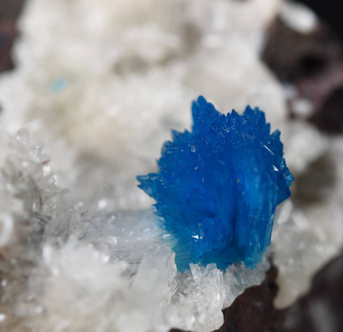 Calder Crystals - Wholesale Spiritual Stone/Crystal - Rare Cavansite Cluster with Stilbite - 40 Grams5