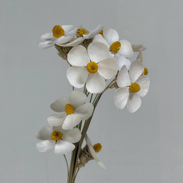 Bouquet de fleurs séchées fait main 10 tiges pour décoration intérieure pour la vente par Effiliving