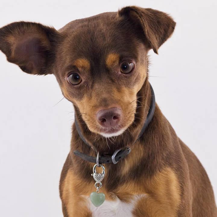 Crystal Pet Love - Wholesale Pet Collar Charm - Cat/Dog - Healing Green Aventurine Pet Pendant for Crystal Support0