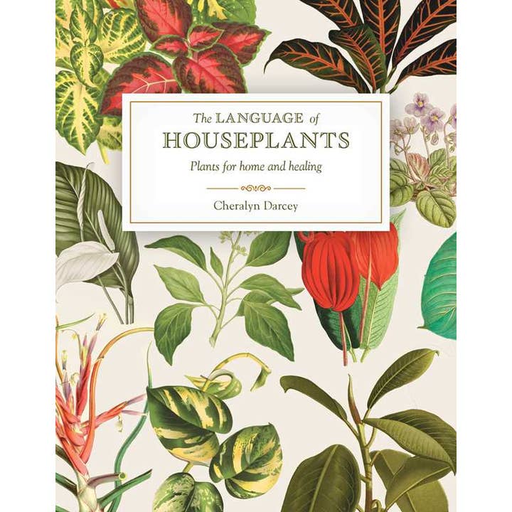 Language of Houseplants by Cheralyn Darcey for wholesale by Simon & Schuster