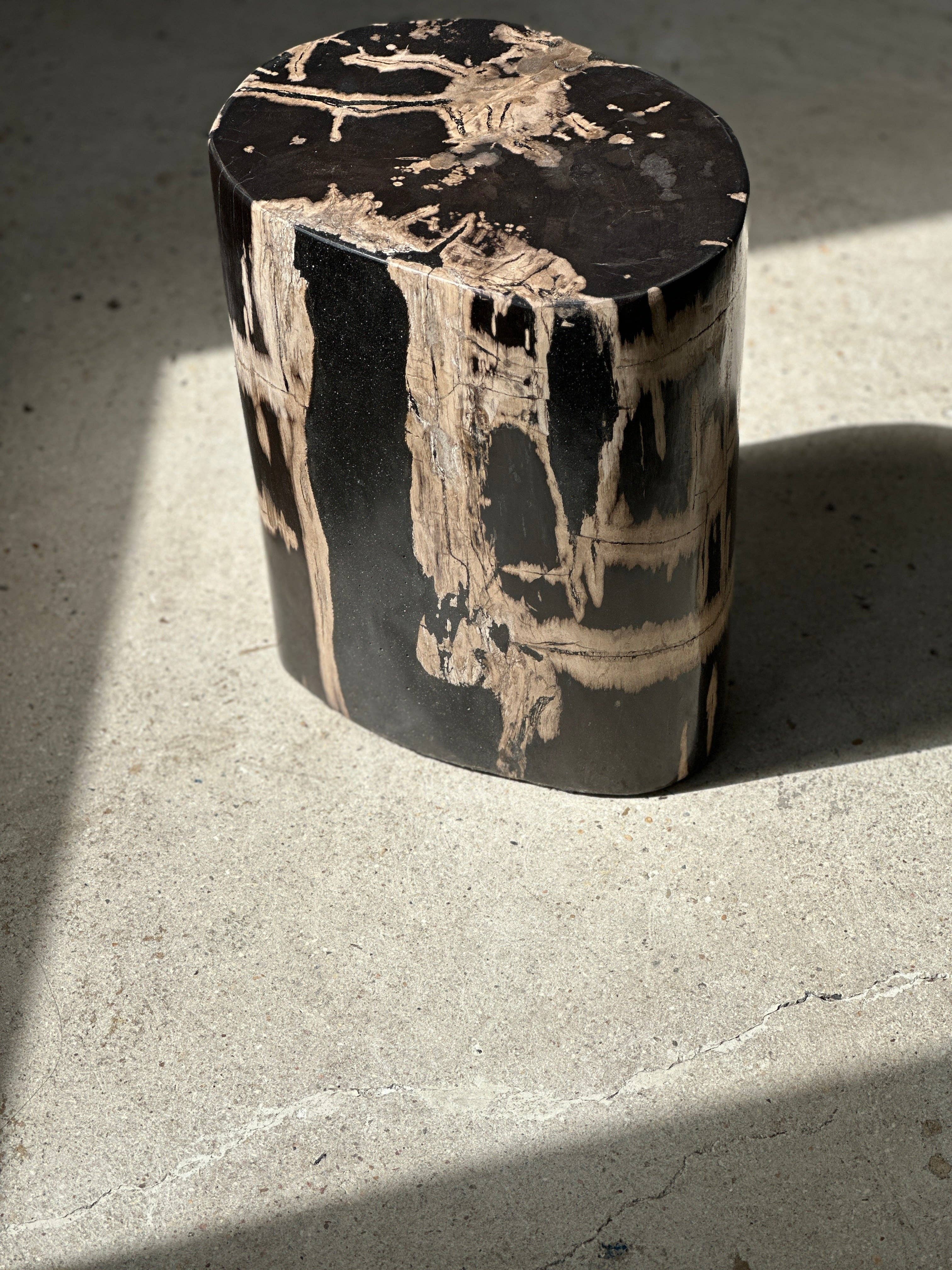 Office Objets - Vente Tables d'appoint - Table d'appoint en bois pétrifié14