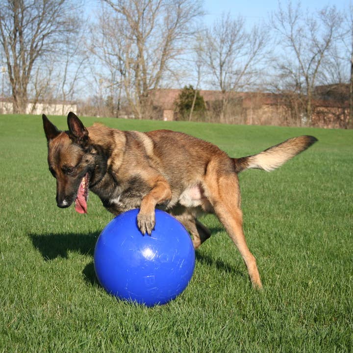 Azul Jolly Ball Push-n-Play 25cm Azul de venta al por mayor en Faire