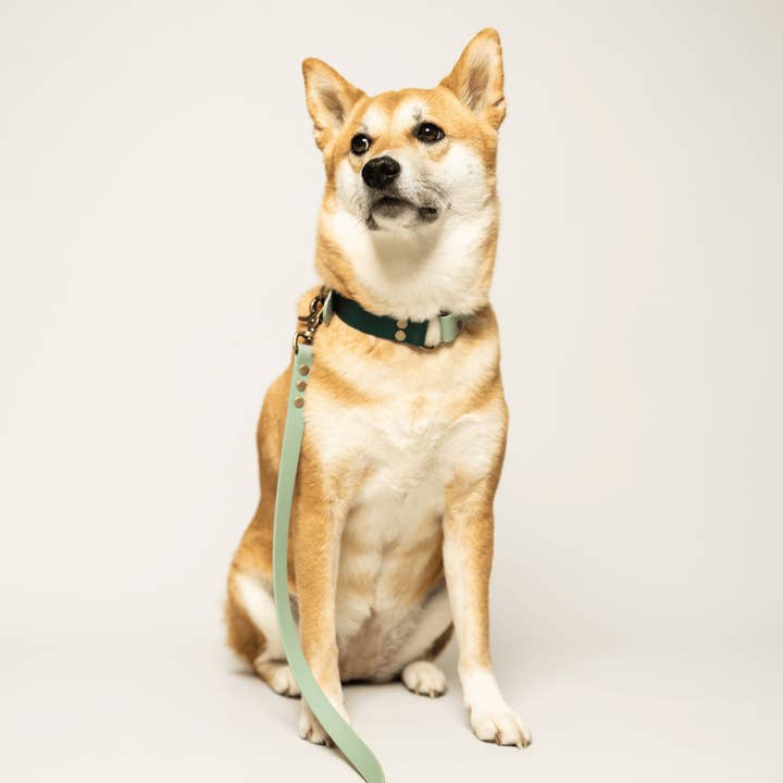 KITSUNE.DOG - Wholesale Pet Collar - Dog - Bi-color BioThane® dog collar - EMERALD and WATER GREEN2