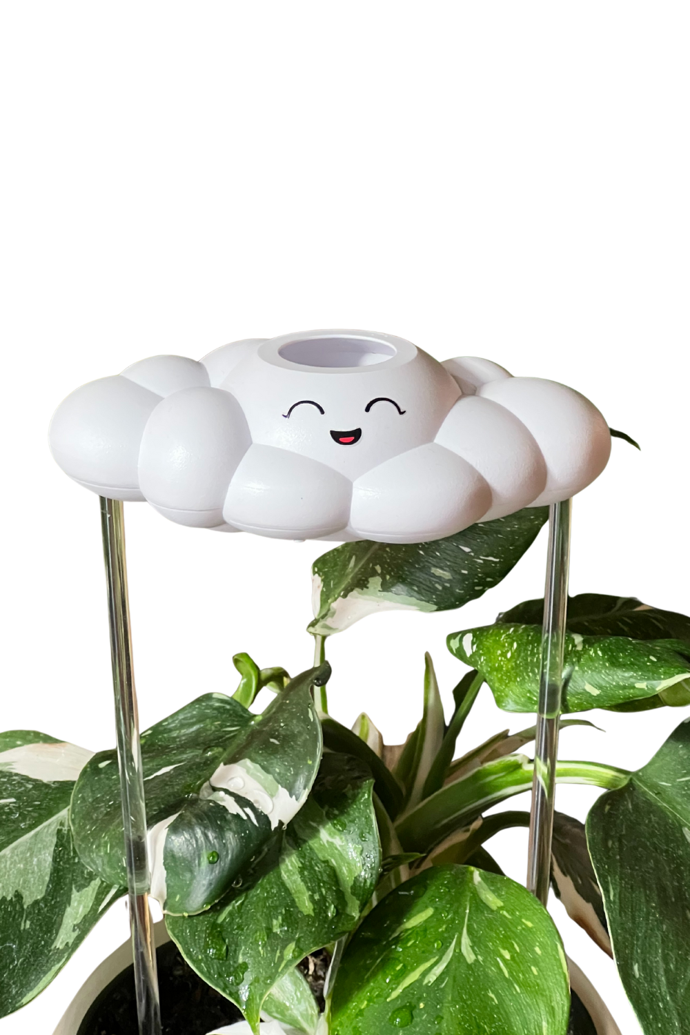 The Cloud Makers - Venta al por mayor Regaderas - Chelsea Serie 00113