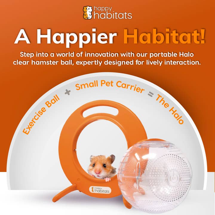 Happy Habitats - Vendita all'ingrosso Giocattolo per animali - Non gatti o cani - Halo Pet Carrier - Palla unica per criceti e palline per piccoli animali