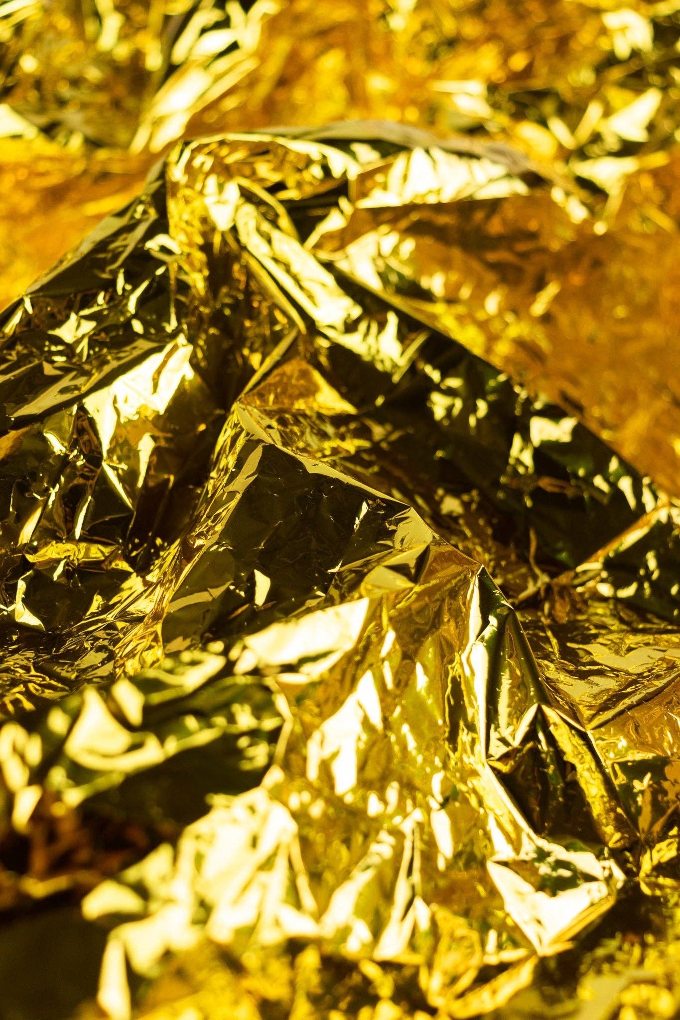 Stemcell Science Shop - Wholesale Picnic Blanket - Space Blanket6