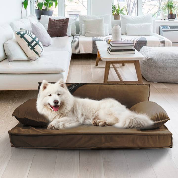 Precious Tails - Wholesale Pet Bed - Dog - Precious Tails Modern Sofa Bed - Medium