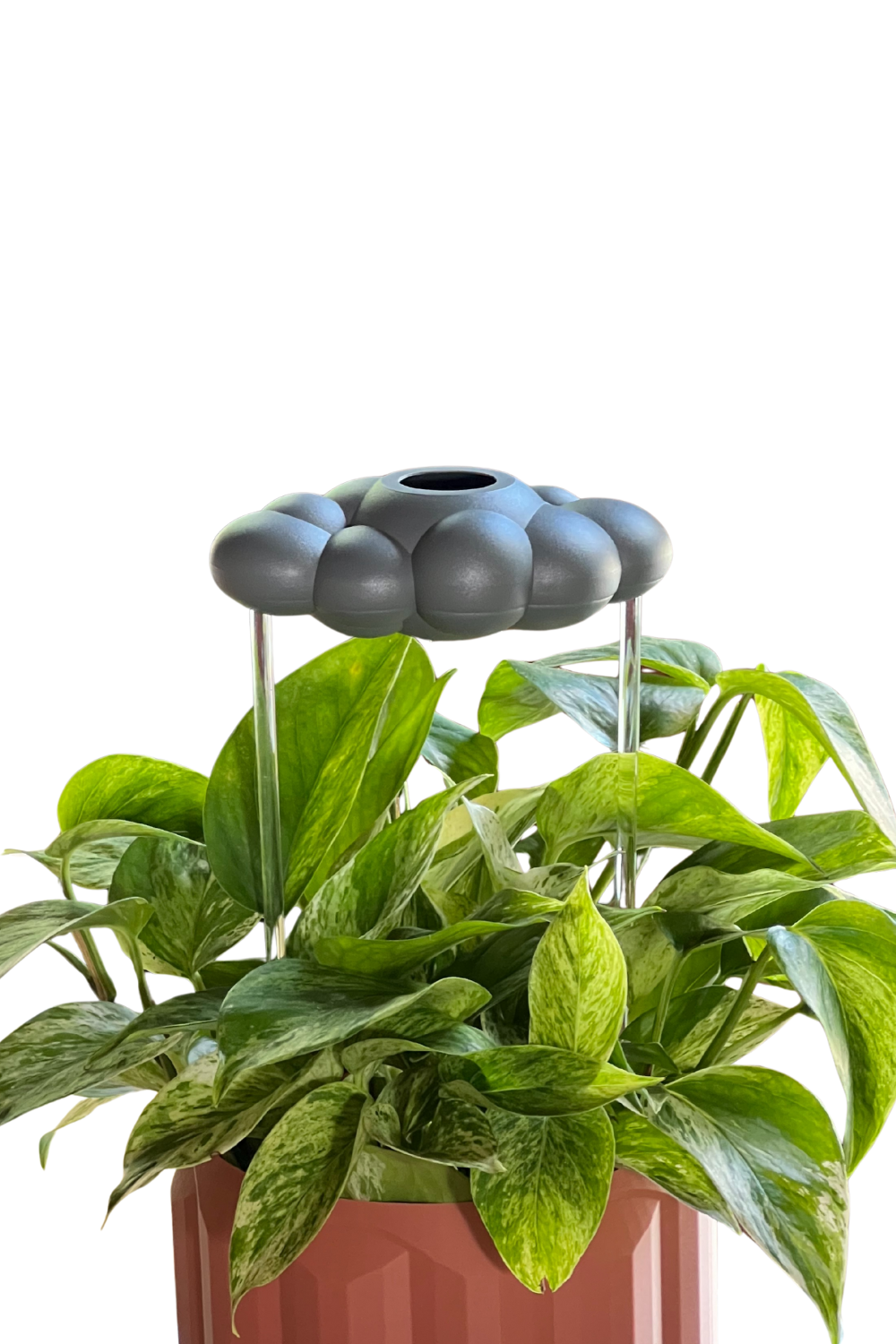 The Cloud Makers - Vendita all'ingrosso Annaffiatoi - Cloud di Pioggia Gocciolante Stormy14