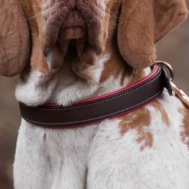 Collare per cani in pelle imbottita italiana in marrone e rosso per la vendita all'ingrosso da parte di Lords and Labradors