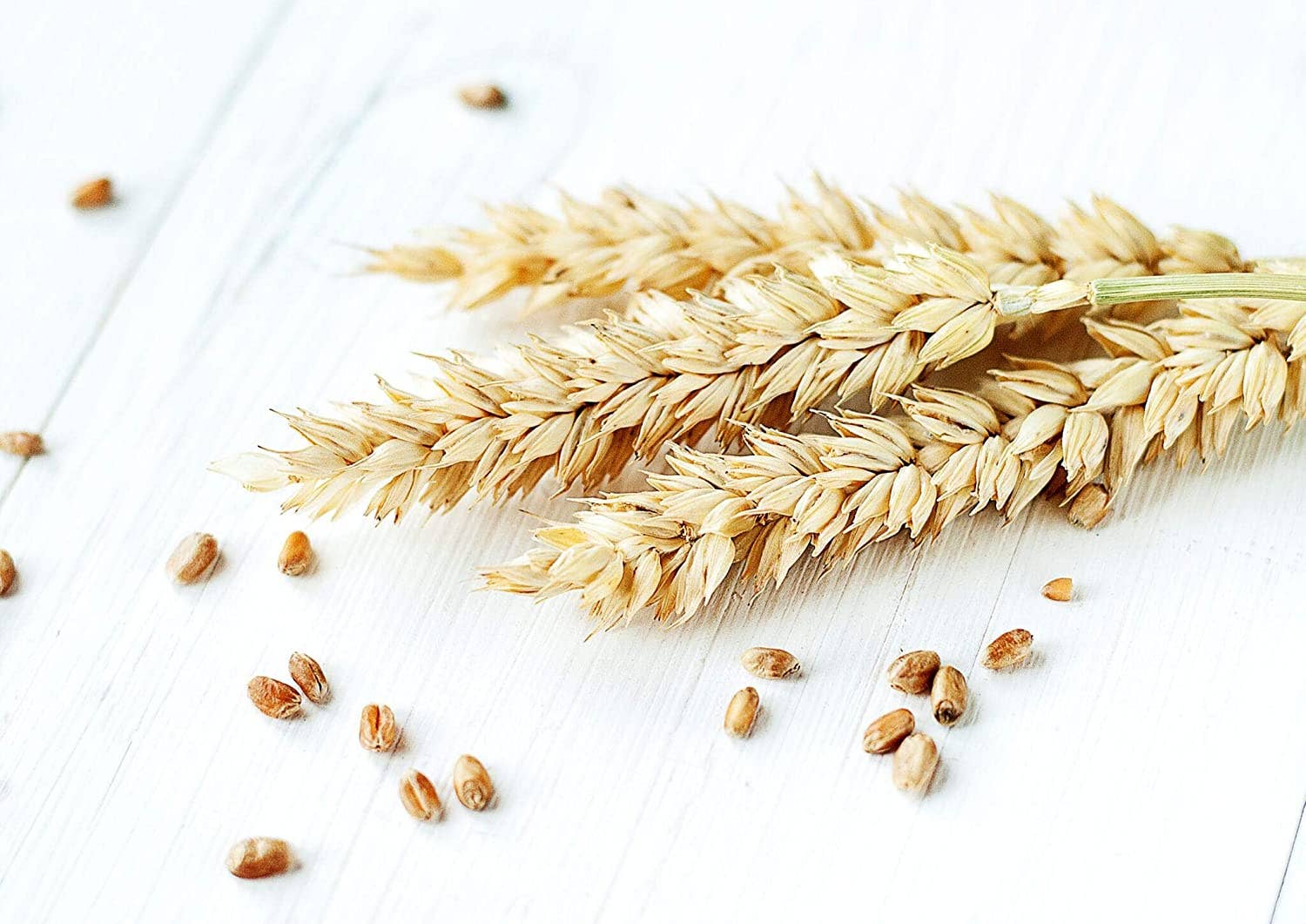 Food To Live - Wholesale Plant Seeds - Wheat Berries — Sprouting for Wheatgrass, Kosher, Raw, Vegan6