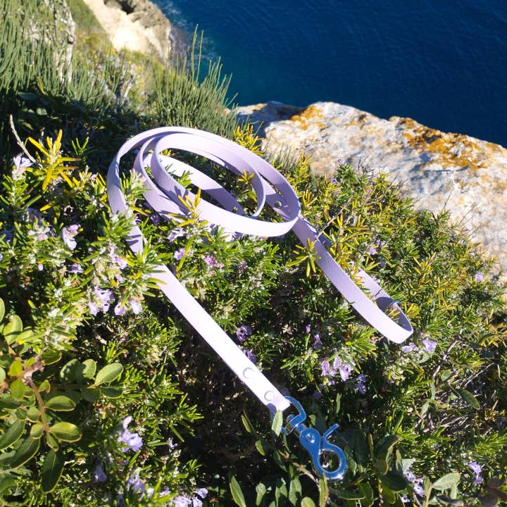 Single strap 1.50m for wholesale by La madre del perro