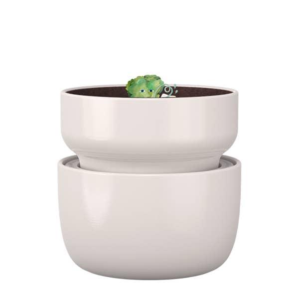 Cream Tendril Planter with Self-Watering SWAP+ System for wholesale on Faire